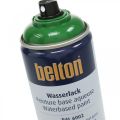 Floristik24 Bezplatná farba na vodnej báze Belton s vysokým leskom v spreji 400 ml
