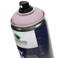 Floristik24 OASIS® Easy Color Spray, farba v spreji jemne ružová 400 ml