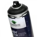 Floristik24 OASIS® Easy Color Spray, farba v spreji čierna 400 ml