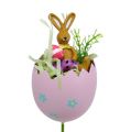 Floristik24 Kvetinová zásuvka vajíčko s druhmi zvierat. 8cm L30cm 4ks