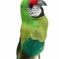 Floristik24 Kvetinová zátka vtáčik, deco papagáj zelená 23×4,5×5,5cm 6ks