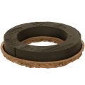 Floristik24 Kvetinový penový krúžok OASIS® Renewal® Floral Foam Biolit® 24 cm 2 ks