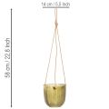 Sklenený kvetináč/závesný lampáš, fialový/zelený, 14 cm, 2 kusy | Floristik24.sk