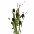 Floristik24 Kytica poľných kvetov prírodná, zelená 25–60cm 70g