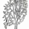 Floristik24 Ozdobný strieborný buk, kovová silueta stromu, okrasný strom na mangovom dreve