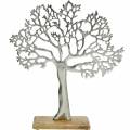 Floristik24 Kovový stromček, dekoračný buk na drevenom podklade, kovová dekorácia striebro, strom života, mangové drevo