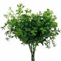 Floristik24 Boxové vetvy Box strom na krompáči Umelá zelená rastlina 6 ks