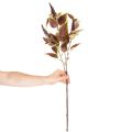 Umelý Coleus s červenými listami, umelá rastlina, 20 cm | Floristik24.sk