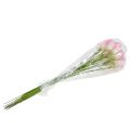 Floristik24 Calla deco kvet ružový 57cm 12ks