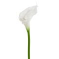 Floristik24 Umelá Calla White 67 cm