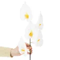Umelá kala so žltými tyčinkami, ozdobné kvety, 35 cm, 10 kusov | Floristik24.sk