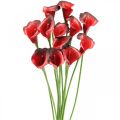 Floristik24 Calla red bordeaux umelé kvety v zväzku 57cm 12ks
