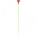 Floristik24 Calla red bordeaux umelé kvety v zväzku 57cm 12ks