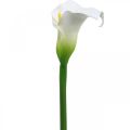Floristik24 Umelý svadobný dekor Calla White Hodvábny kvet Výročie L72cm