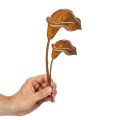 Záhradný kolík z hrdze kaly na hroby a do kvetinárstva 25 cm 6 ks | Floristik24.sk