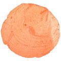 Floristik24 Capiz mušle Capiz plátky perleťové plátky pomaranč 7,5–9,5 cm 300 g