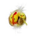 Floristik24 Žinilkové mláďatá v hniezde žlté 5cm 4ks