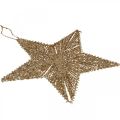 Floristik24 Ozdoby na vianočný stromček, adventné ozdoby, prívesok hviezda Zlatá B25,5cm 4ks