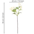 Umelý kvet chryzantémy, krémovo biela kytica, ozdobná vetvička, veľká 56 cm, 4 kusy | Floristik24.sk