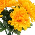 Floristik24 Chryzantéma žltá so 7 kvetmi