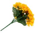 Floristik24 Chryzantéma žltá so 7 kvetmi