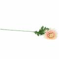 Floristik24 Chryzantémová vetvička ružová umelá 64cm