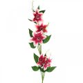 Floristik24 Konár plamienok s 5 kvetmi, umelý kvet, ozdobný konár ružový, biely L84cm