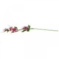 Floristik24 Konár plamienok s 5 kvetmi, umelý kvet, ozdobný konár ružový, biely L84cm