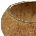 Floristik24 Prírodná súprava kokosovej misky 5 ks