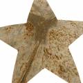 Floristik24 Kokosová hviezda prírodná 10cm 20ks Vianočná dekorácia strieborné drevené hviezdičky