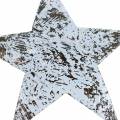 Floristik24 Kokosová hviezda praná biela 10cm 20p