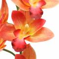 Floristik24 Orchidea umelý kvet Cymbidium Orange 74cm