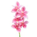 Floristik24 Cymbidium orchidea umelá 5 kvetov ružová 65cm