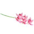 Floristik24 Cymbidium orchidea umelá 5 kvetov ružová 65cm