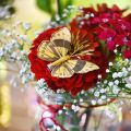 Floristik24 Jarný motýľ s klipom zlatá jarná dekorácia 6cm 10 kusov v sade