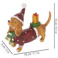 Dekoratívna figúrka jazvečíka s darčekovým balením a klobúkom, 18 cm | Floristik24.sk