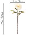 Umelý kvet dahlia do vázy 68 cm | Floristik24.sk