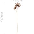Umelý kvet dahlia, s dlhou stonkou a dvoma kvetmi, 75 cm | Floristik24.sk