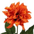 Floristik24 Dahlia oranžová 28cm 4ks