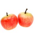 Floristik24 Deco jablká Cox 4cm 24p