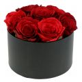 Floristik24 Kvetináč truhlík na ruže čierny okrúhly Ø18cm - Ø20cm 2ks