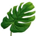 Floristik24 Deco Leaf Philo Leaf Green Š11cm D29,5cm 3ks