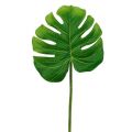 Floristik24 Deco Leaf Philo Leaf Green Š11cm D29,5cm 3ks