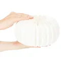 Papierový kruh s včelinou tekvicou, okrúhly, veľký na sušené kvety a jesennú dekoráciu 24 cm, 4 ks | Floristik24.sk