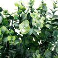 Floristik24 Dekoratívna vetva eukalyptu tmavozelená umelý eukalyptus umelé zelené rastliny 6ks