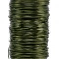 Floristik24 Deco smaltovaný drôt olivovo zelený Ø0,50mm 50m 100g