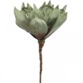 Floristik24 Deco lotosový kvet, lotosový kvet, hodvábny kvet zelený L64cm