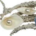 Floristik24 Dekorácia mix lastúra s perlou a drevom biela, modrá 200g