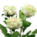 Floristik24 Deco ruža krémovo-ružová Ø10cm 52cm 3ks