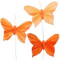 Floristik24 Deco motýľ oranžový 12ks